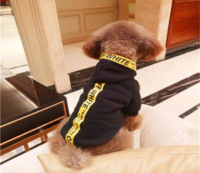 Bọn boss ra đường m&ugrave;a n&agrave;y phải như fashionista mới chịu cơ - Ảnh 5.