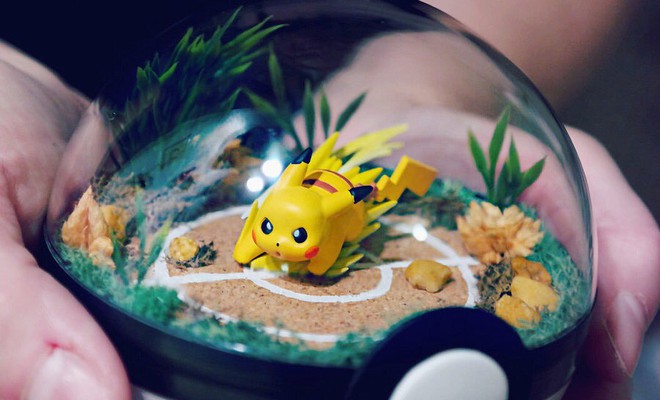 Những khu vườn Pokeball nhỏ xinh trong lòng bàn tay khiến fan hâm mộ Pokemon phát cuồng - Ảnh 19.