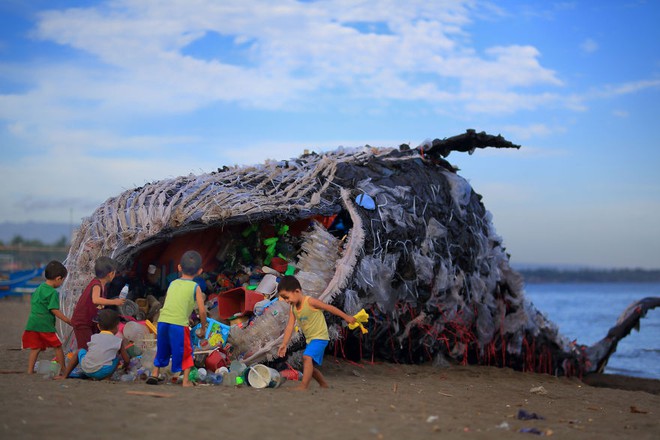 Cá voi khổng lồ nằm chết bên bãi biển, ai cũng sốc khi phát hiện ra thứ bên trong miệng nó - Ảnh 1.
