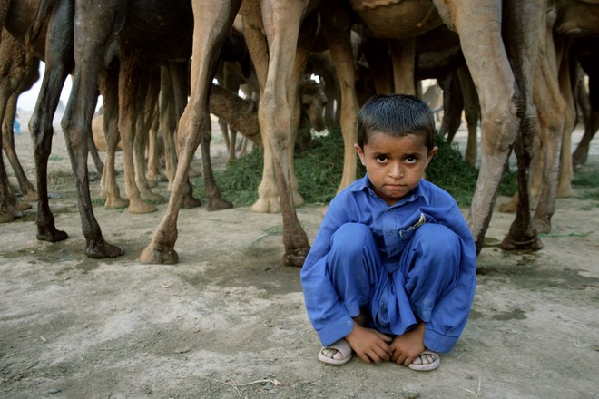 Mảng tối tại đất nước gi&agrave;u c&oacute; Ả Rập: Số phận nghiệt ng&atilde; của những đứa trẻ n&ocirc; lệ, bị bắt l&agrave;m người đua lạc đ&agrave; - Ảnh 4.