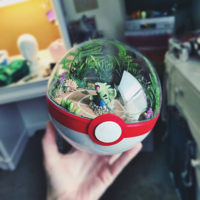 Những khu vườn Pokeball nhỏ xinh trong lòng bàn tay khiến fan hâm mộ Pokemon phát cuồng - Ảnh 21.