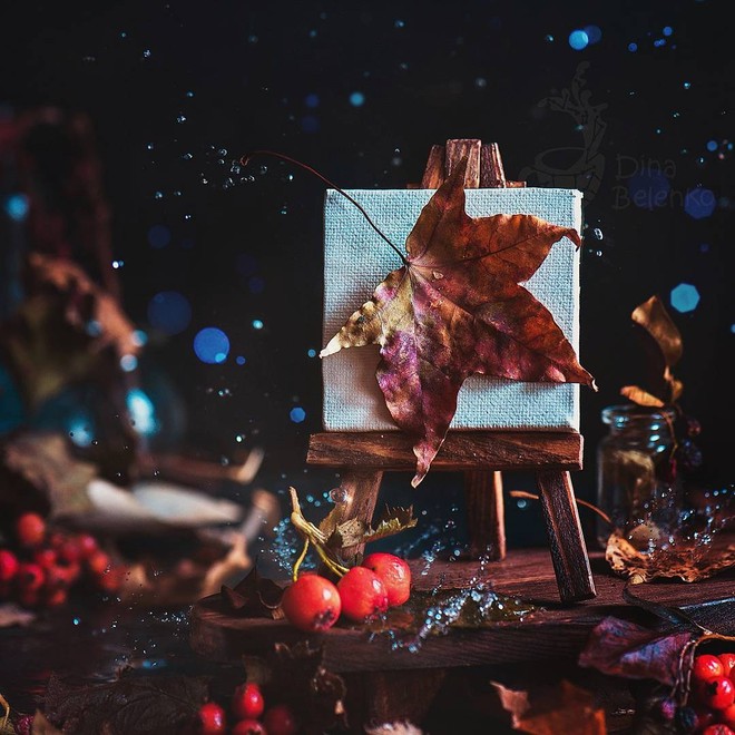 Bộ ảnh tĩnh vật mùa thu tuyệt đẹp dưới ống kính của nữ nhiếp ảnh gia người Nga - Ảnh 5.