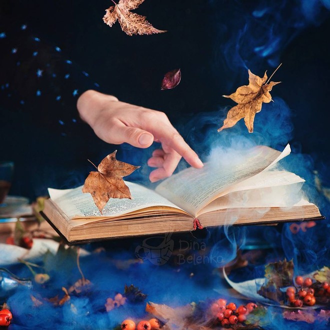 Bộ ảnh tĩnh vật m&ugrave;a thu tuyệt đẹp dưới ống k&iacute;nh của nữ nhiếp ảnh gia người Nga - Ảnh 9.