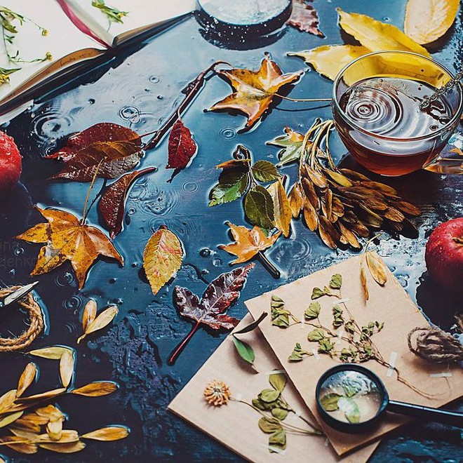 Bộ ảnh tĩnh vật m&ugrave;a thu tuyệt đẹp dưới ống k&iacute;nh của nữ nhiếp ảnh gia người Nga - Ảnh 1.