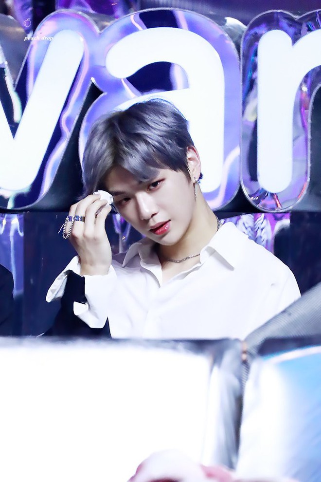 Nhập viện vì sốt nghiêm trọng, center quốc dân Kang Daniel vọt luôn lên top 8 Naver - Ảnh 1.