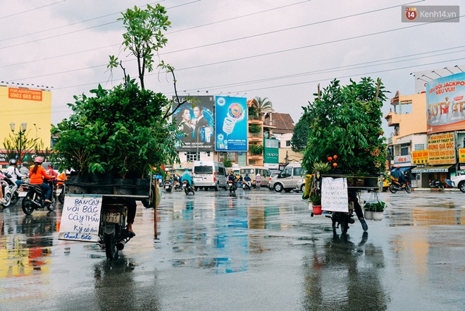 Trên đường phố Sài Gòn, có những người hàng chục năm chở theo một chợ xanh sau yên xe máy - Ảnh 4.