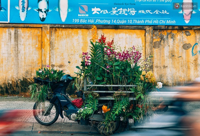 Trên đường phố Sài Gòn, có những người hàng chục năm chở theo một chợ xanh sau yên xe máy - Ảnh 6.