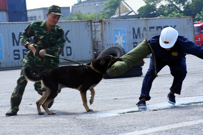 Xem lực lượng đặc nhiệm ở Đà Nẵng diễn tập phòng chống khủng bố như phim hành động - Ảnh 5.