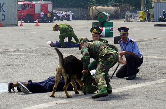 Xem lực lượng đặc nhiệm ở Đà Nẵng diễn tập phòng chống khủng bố như phim hành động - Ảnh 10.