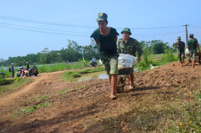 Chùm ảnh: Tin bão vào Thanh Hóa, hàng trăm chiến sĩ bộ đội cùng người dân chung tay đắp đê chống ngập - Ảnh 4.