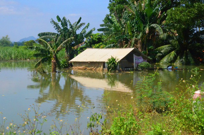 Chùm ảnh: Tin bão vào Thanh Hóa, hàng trăm chiến sĩ bộ đội cùng người dân chung tay đắp đê chống ngập - Ảnh 1.