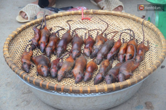 Ở Hà Nội có một ngôi làng mà phụ nữ và trẻ con mê thịt chuột hơn cả thịt lợn, thịt gà - Ảnh 4.