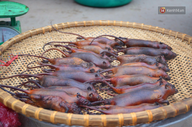 Ở Hà Nội có một ngôi làng mà phụ nữ và trẻ con mê thịt chuột hơn cả thịt lợn, thịt gà - Ảnh 4.
