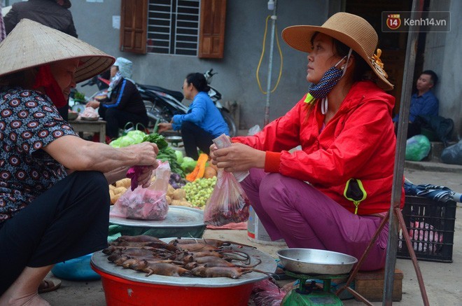 Ở Hà Nội có một ngôi làng mà phụ nữ và trẻ con mê thịt chuột hơn cả thịt lợn, thịt gà - Ảnh 12.