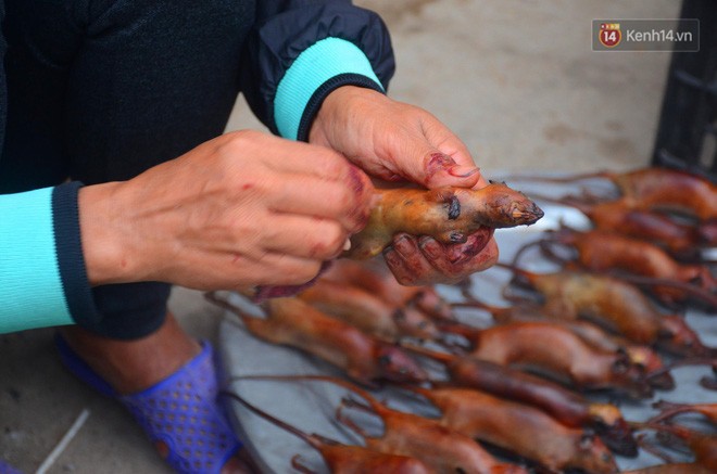 Ở Hà Nội có một ngôi làng mà phụ nữ và trẻ con mê thịt chuột hơn cả thịt lợn, thịt gà - Ảnh 10.