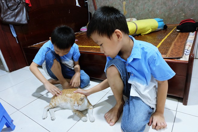 Chuyện 2 cậu b&eacute; sinh đ&ocirc;i Tắc K&egrave; v&agrave; Ba Ba vẽ tranh, treo giải 10 USD để t&igrave;m ch&uacute; m&egrave;o đi lạc ở S&agrave;i G&ograve;n - Ảnh 5.