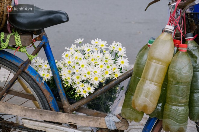 Đằng sau những gánh cúc họa mi trên phố Hà Nội là nỗi niềm của người nông dân Nhật Tân: Không còn sức nữa, phải bỏ hoa về nhà! - Ảnh 12.