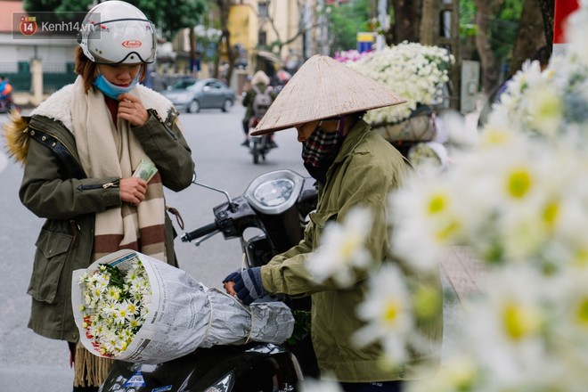 Đằng sau những gánh cúc họa mi trên phố Hà Nội là nỗi niềm của người nông dân Nhật Tân: Không còn sức nữa, phải bỏ hoa về nhà! - Ảnh 9.