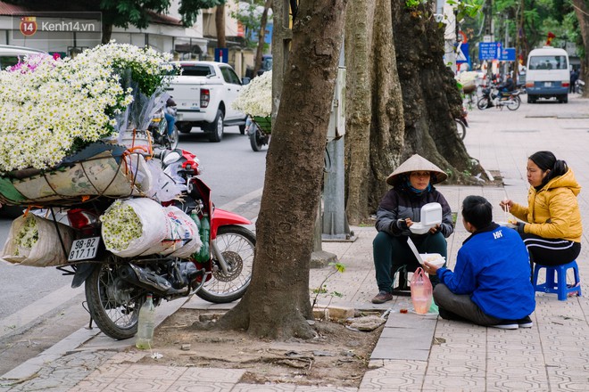 Đằng sau những gánh cúc họa mi trên phố Hà Nội là nỗi niềm của người nông dân Nhật Tân: Không còn sức nữa, phải bỏ hoa về nhà! - Ảnh 8.