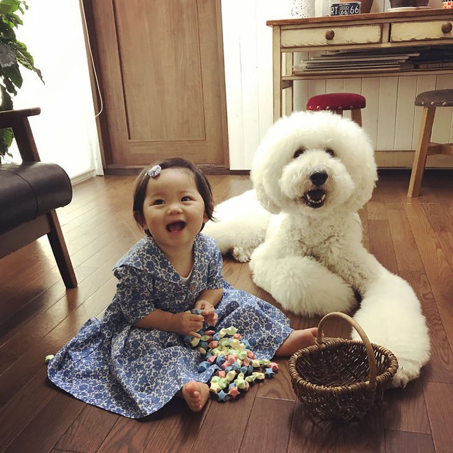 Ngắm nhìn tình bạn đáng yêu của bé gái và chú chó poodle - Ảnh 27.