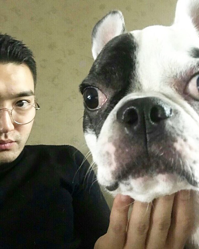 Chó cưng của Siwon được cho là gây nên vụ cắn CEO tử vong: Từng có tiền sử cắn người - Ảnh 8.