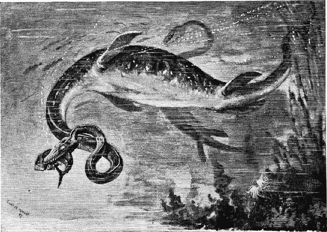 Quái vật hồ Loch Ness và những sự thật chưa kể về huyền thoại gây tranh cãi nhất lịch sử - Ảnh 3.