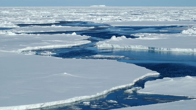 Tìm thấy thứ này ở Bắc Cực, giới khoa học đang lo lắng cực độ - Ảnh 3.