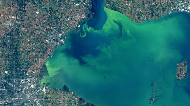 Hồ nước biến thành màu xanh tuyệt đẹp sau hơn nửa thế kỷ, nhưng đó lại là tin cực kỳ không tốt - Ảnh 1.
