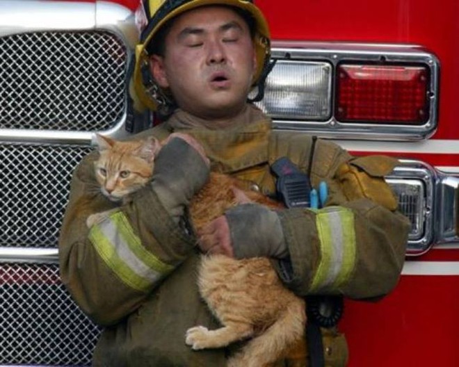 17 khoảnh khắc đầy xúc cảm của những người lính cứu hỏa và động vật - Ảnh 13.