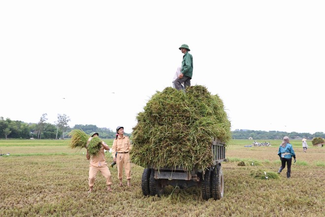 H&igrave;nh ảnh đẹp: C&ocirc;ng an miền Trung gi&uacute;p d&acirc;n gặt l&uacute;a chạy b&atilde;o số 10 - Ảnh 4.
