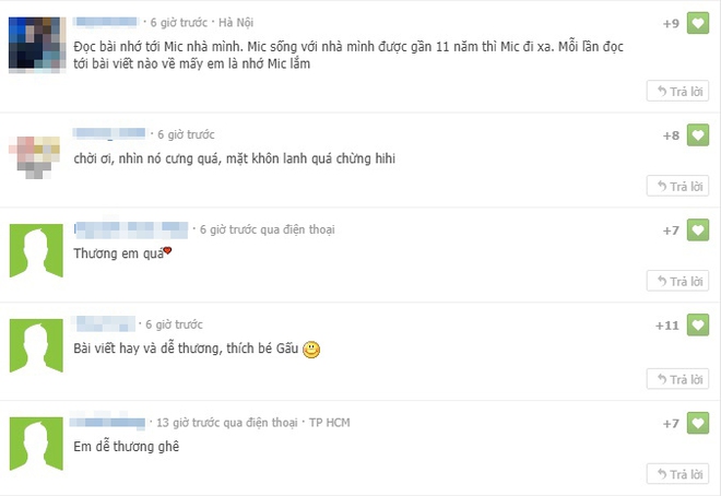 Cư d&acirc;n mạng ph&aacute;t cuồng với Gấu - ch&uacute; ch&oacute; c&aacute; t&iacute;nh nhất S&agrave;i G&ograve;n khi lu&ocirc;n xung phong x&aacute;ch đồ hộ chủ nếu kh&ocirc;ng sẽ giận dỗi bỏ ăn - Ảnh 6.