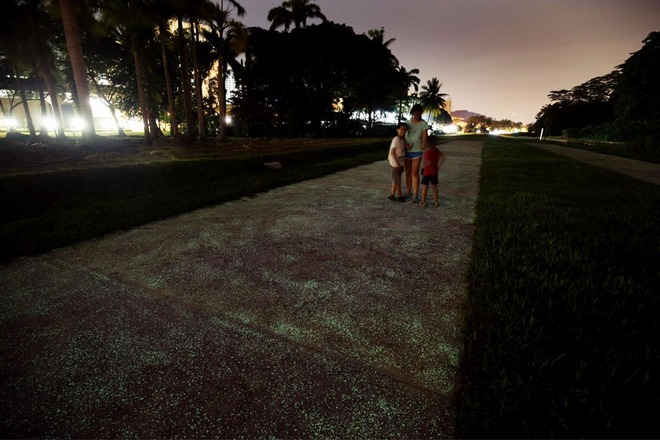 Ngắm đoạn đường phát sáng đẹp như tranh vẽ trong đêm tại Singapore - Ảnh 5.