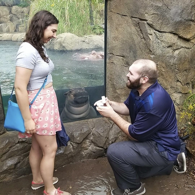 Cầu hôn tại vườn thú, cặp đôi nhận ra kẻ phá bĩnh cực kỳ đáng yêu trong loạt ảnh chụp kỷ niệm - Ảnh 2.