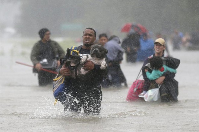 25 khoảnh khắc trong cơn bão Harvey khiến người xem không khỏi bật khóc - Ảnh 6.