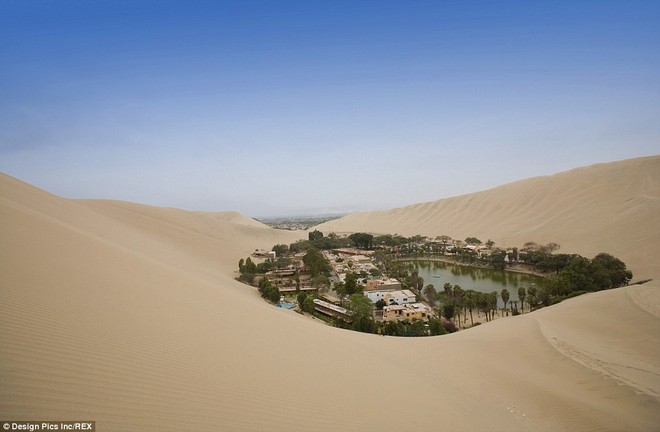 Không ai ngờ rằng, giữa sa mạc cằn cỗi bậc nhất thế giới lại có một thị trấn xanh tươi đến vậy - Ảnh 1.