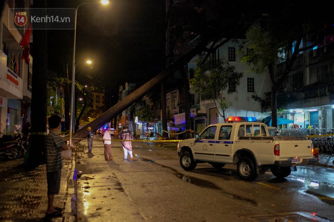 Mưa to kèm sấm sét kinh hoàng, cây cổ thụ bật gốc đổ sập vào nhà dân ở Sài Gòn khiến nhiều người sợ hãi - Ảnh 3.