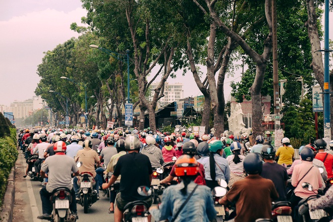 H&agrave;ng chục gian h&agrave;ng gần s&acirc;n bay T&acirc;n Sơn Nhất ồ ạt thanh l&yacute; ch&oacute;, g&agrave;, c&acirc;y cảnh, giao th&ocirc;ng S&agrave;i G&ograve;n hỗn loạn - Ảnh 13.