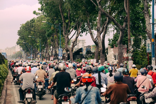 Hàng chục gian hàng gần sân bay Tân Sơn Nhất ồ ạt thanh lý chó, gà, cây cảnh, giao thông Sài Gòn hỗn loạn - Ảnh 13.