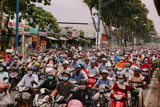 H&agrave;ng chục gian h&agrave;ng gần s&acirc;n bay T&acirc;n Sơn Nhất ồ ạt thanh l&yacute; ch&oacute;, g&agrave;, c&acirc;y cảnh, giao th&ocirc;ng S&agrave;i G&ograve;n hỗn loạn - Ảnh 14.