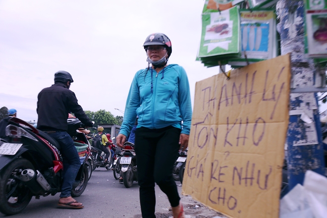 Hàng chục gian hàng gần sân bay Tân Sơn Nhất ồ ạt thanh lý chó, gà, cây cảnh, giao thông Sài Gòn hỗn loạn - Ảnh 4.