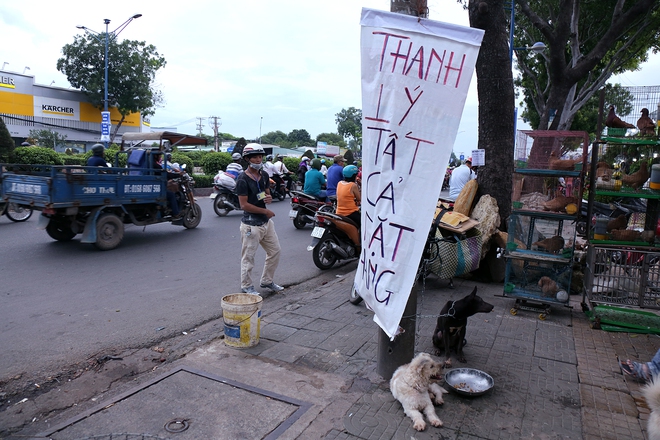 Hàng chục gian hàng gần sân bay Tân Sơn Nhất ồ ạt thanh lý chó, gà, cây cảnh, giao thông Sài Gòn hỗn loạn - Ảnh 3.