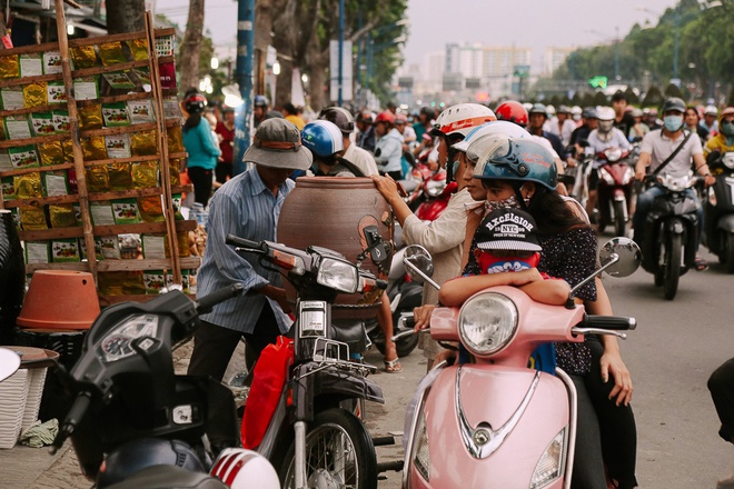 Xả hàng trả mặt bằng các loại chậu cây, cây cảnh, cún, thỏ... tại ngã ba mũi tàu 13