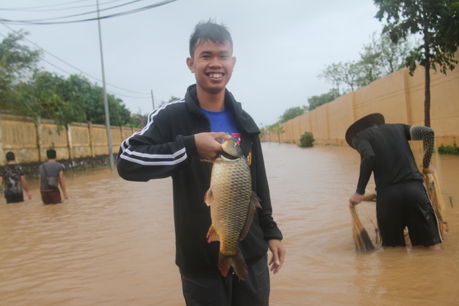 Sau bão số 10, người dân Quảng Bình quăng chài, thả lưới bắt cá giữa phố - Ảnh 6.