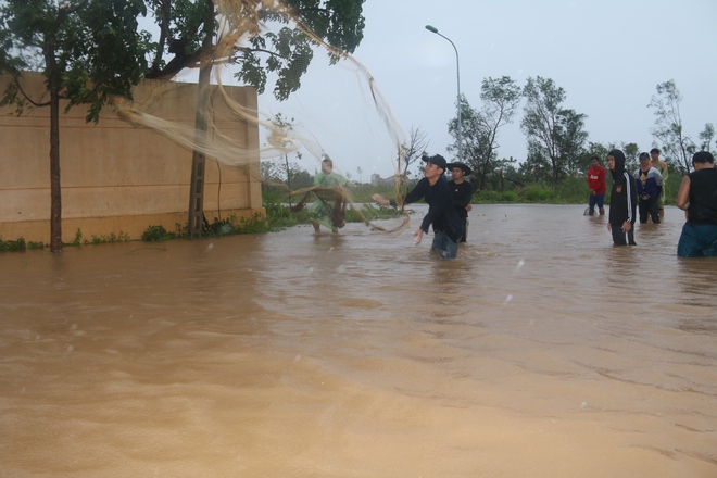 Sau bão số 10, người dân Quảng Bình quăng chài, thả lưới bắt cá giữa phố - Ảnh 2.