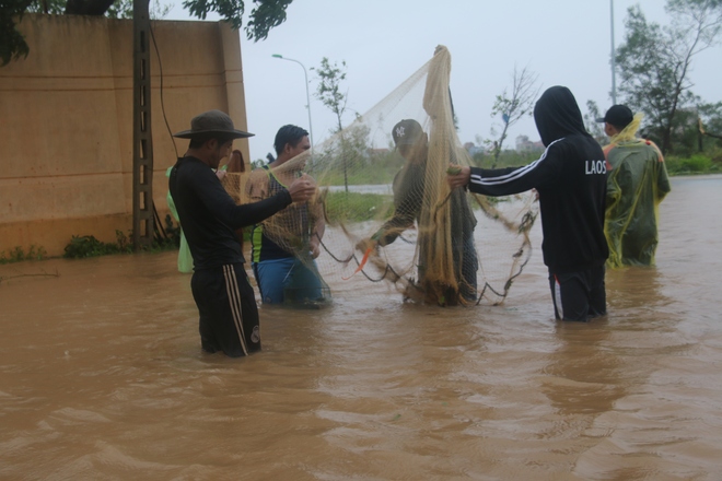 Sau bão số 10, người dân Quảng Bình quăng chài, thả lưới bắt cá giữa phố - Ảnh 4.
