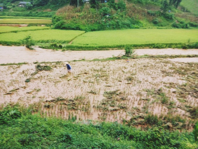 L&agrave;o Cai: Mưa lớn c&ocirc; lập ho&agrave;n to&agrave;n 150 hộ d&acirc;n ở Mường Khương, b&agrave; con chế b&egrave; vượt lũ - Ảnh 5.