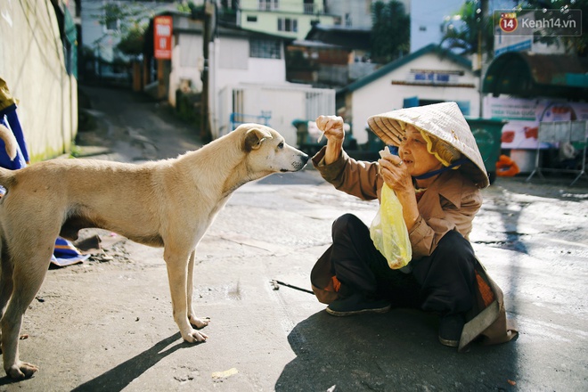 Hồng nhan thời trẻ nhưng về già chẳng chồng con, cụ bà 83 tuổi bầu bạn với thú hoang nơi phố núi Đà Lạt - Ảnh 1.