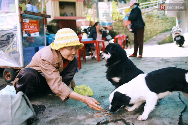 Hồng nhan thời trẻ nhưng về già chẳng chồng con, cụ bà 83 tuổi bầu bạn với thú hoang nơi phố núi Đà Lạt - Ảnh 9.