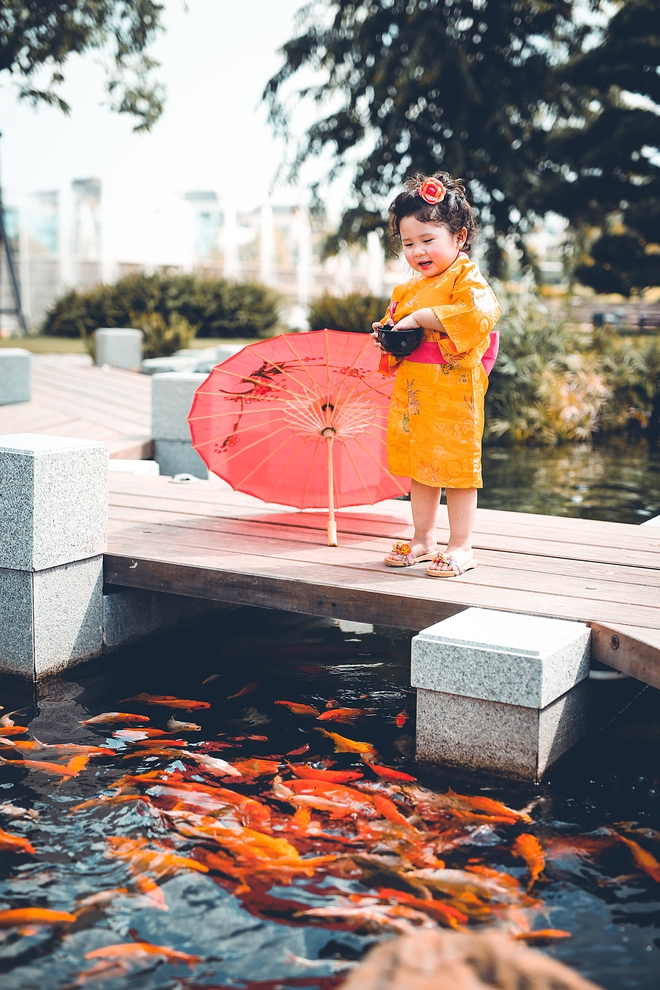 Tan chảy trước độ dễ thương của cô bé Việt 2 tuổi má phính diện Kimono, tóc tơ cài hoa - Ảnh 11.