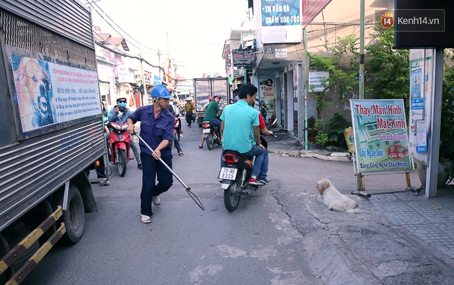 Chó cưng bị Đội săn bắt tóm, cụ bà hớt hải: Nó đi chợ với tôi, đang nằm trên vỉa hè chờ tôi về cùng thì bị bắt - Ảnh 6.